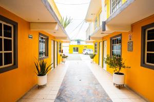 um corredor de um edifício com paredes amarelas e vasos de plantas em Posada del Ángel em Pachuca de Soto