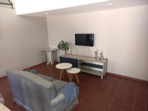 sala de estar con sofá y TV en la pared en Departamento de Sil en Godoy Cruz