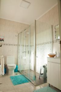 a bathroom with a glass shower and a toilet at Casa da Horta Açores in Ponta Delgada