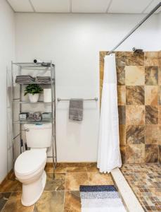 e bagno con servizi igienici e doccia. di Centric NY Style Loft w/King bed a Rochester