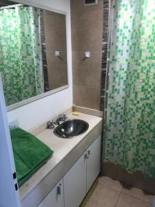a bathroom with a sink and a mirror and a shower at Vista Privilegiada in Córdoba