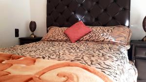 a bed with a black headboard and a red pillow at Salòs del Comfort in Oualidia