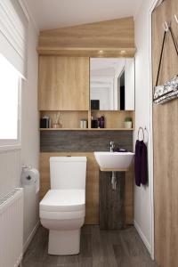 a bathroom with a white toilet and a sink at Maple Prestige Holiday Home in Chapel Saint Leonards