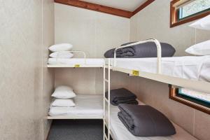 Zimmer mit Etagenbetten in einer Hütte in der Unterkunft NRMA Bathurst Panorama Holiday Park in Bathurst