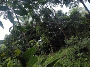 Gallery image of Villa Falian Nido martín pescador in Viotá +48 photos