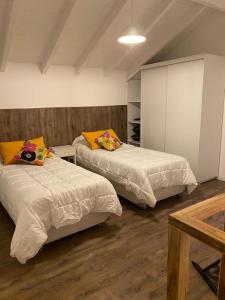 1 dormitorio con 2 camas y armario. en ALOJAMIENTOS PATAGONICOS Las Mosqueteras Duplex vla en Villa La Angostura