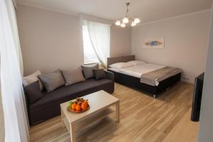 ein Wohnzimmer mit einer Couch und einem Bett in der Unterkunft Apartament Klonowa in Kielce