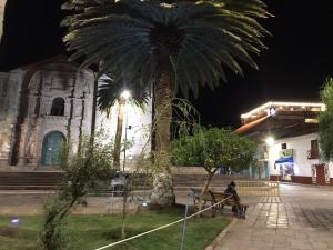 eine Person, die auf einer Bank vor einer Palme sitzt in der Unterkunft Plaza del Inka in Urubamba