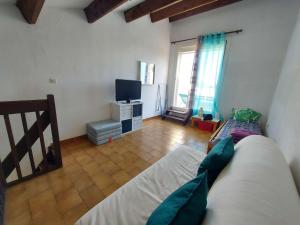 een woonkamer met een bed en een televisie bij Appartement Marseillan-Plage, 2 pièces, 5 personnes - FR-1-326-777 in Marseillan
