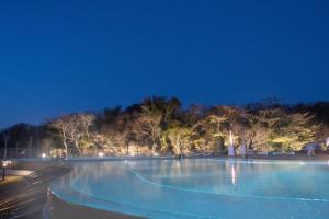 a large swimming pool at night with trees in the background at Ecoland Hotel in Jeju