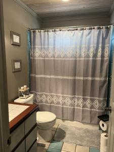 a bathroom with a shower curtain and a toilet at Beautiful Spacious Home in Paradise in Waikoloa Village