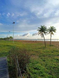 dwie palmy na polu obok plaży w obiekcie Hostel Diniz w mieście Vitória