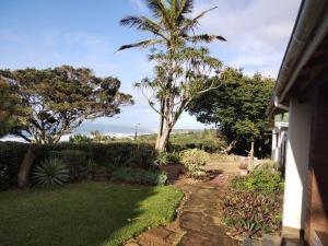 um quintal com uma palmeira e uma passagem em Pumula Holiday Home em Hibberdene