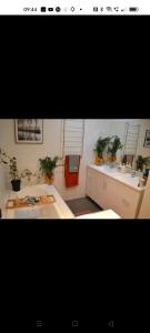 a room with two sinks and potted plants in it at Seventeen Mc Bean Scenic Getaway in Boonah