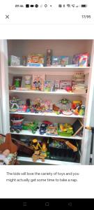 a book shelf filled with lots of toys at Seventeen Mc Bean Scenic Getaway in Boonah