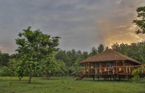 Ogród w obiekcie Jaagir Manor, Dudhwa - IHCL SeleQtions