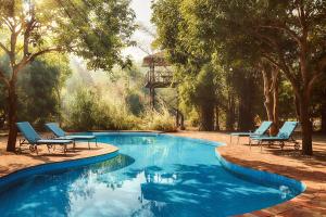 a swimming pool with two lounge chairs and trees at Jaagir Manor, Dudhwa - IHCL SeleQtions in Paliā Kalān