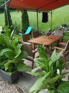 A garden outside Upcycling Appartement Fischl - Nachhaltig und Kreativ Wohnen für Groß und klein
