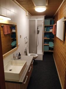 a bathroom with a sink and a shower and a toilet at Appartement Fischl in Jenbach