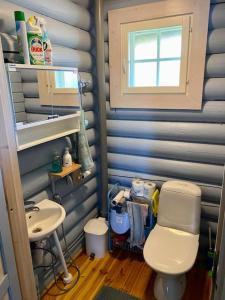 ein kleines Bad mit WC und Waschbecken in der Unterkunft Elämyksellinen huvila Tuurujärven rannalla. in Ulvila