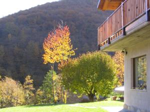 a tree with colorful leaves in front of a house at Joy Center - Casa e Appartamenti Vacanza in Val Pellice in Villar Pellice