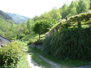 a dirt road next to a ivy covered hill at Joy Center - Casa e Appartamenti Vacanza in Val Pellice in Villar Pellice