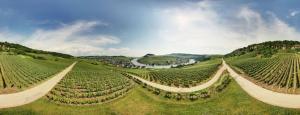 an aerial view of a vineyard with hammocks in a field at Weingut Matthias Dostert / Culinarium in Nittel