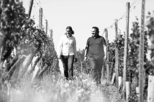 Majutusasutuse Weingut Matthias Dostert / Culinarium külastajad
