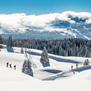 eine Gruppe von Personen, die auf einer schneebedeckten Piste Ski fahren in der Unterkunft Studio 3 in Moirans-en-Montagne