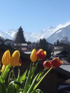 un grupo de flores amarillas y rojas con montañas en el fondo en Ferienwohnung Baldauf, en Oberstdorf