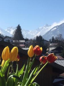 a group of yellow and red flowers with mountains in the background at Ferienwohnung Baldauf in Oberstdorf