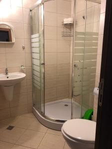 ein Bad mit einer Dusche, einem WC und einem Waschbecken in der Unterkunft Palace De Luxe - Apartments in Pomorie