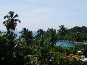 uma vista para uma praia com palmeiras e para o oceano em Zodiak em Tangalle