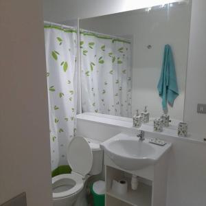 un bagno con lavandino, water e tenda da doccia di Departamento central en Temuco a Temuco