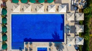 an overhead view of a large blue swimming pool at Yacht Club in Didim