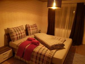 - une chambre avec un lit et 2 oreillers dans l'établissement Tiroler Wohnung, à Arzl im Pitztal
