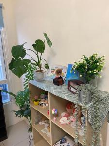 a shelf with potted plants on it in a room at J house 拉法民宿 in Taitung City