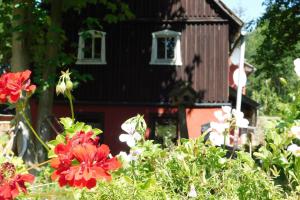 un jardín con flores y una casa de fondo en Ferienwohnung "An der schönen Bahra", 
