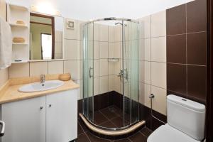 a bathroom with a shower and a toilet and a sink at Panorama Apartments in Afionas