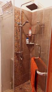 a shower with a glass door in a bathroom at WESTWOOD - DELUXE 03 BEDROOM APPARTMENT - POOL, near BEACH in Flic-en-Flac