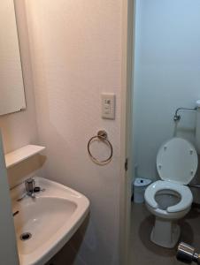 a bathroom with a white toilet and a sink at White Rabbit Madarao in Iiyama