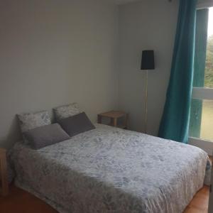 sypialnia z łóżkiem z niebieską zasłoną i oknem w obiekcie appartement 3 pièces w mieście Saint-Jean-de-Luz