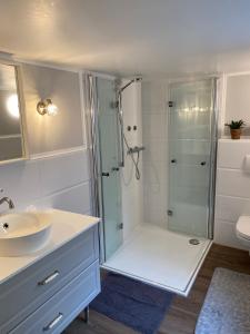 a bathroom with a shower and a sink at Ferienhaus Am Riedbach - Birstein in Birstein