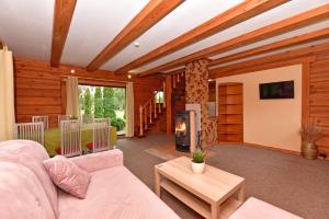 a living room with a couch and a fireplace at Aerodream Trakai in Antakalnis