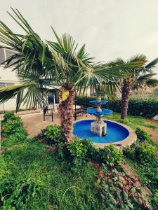 Zahrada ubytování Apartments Nada
