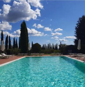 a large swimming pool with blue water and trees at Agriturismo San Jacopo in Reggello