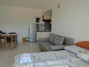 Kuchyň nebo kuchyňský kout v ubytování Apartmani Tepli Bok