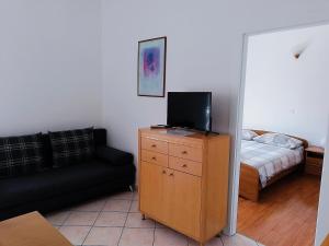 TV a/nebo společenská místnost v ubytování Apartmani Tepli Bok