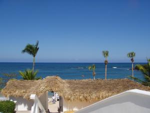 Una vista de una playa con palmeras y el océano. en 3BR Villa with VIP Access - All Inclusive Program with Alcohol Included., en San Felipe de Puerto Plata