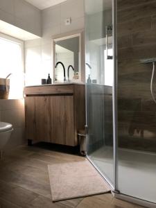 y baño con lavabo y ducha. en Accomodatie in Villa Werschmatt en Kruth